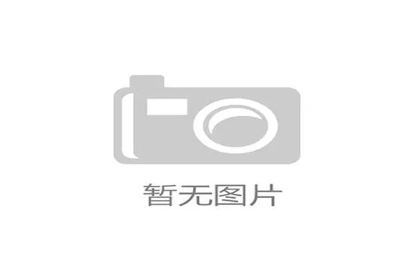 美加墨世界杯黑马球队崛起之路与战术实力深度分析及未来表现展望